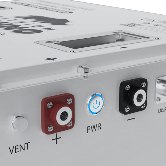 48v 160AH Lithium Rhino Conversion Kit - SHIPS FREE!