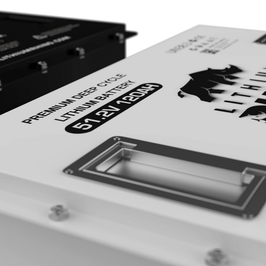 48v 120AH Lithium Rhino Conversion Kit - SHIPS FREE!
